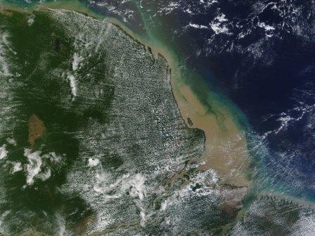 Огромный коралловый риф обнаружен в устье амазонки