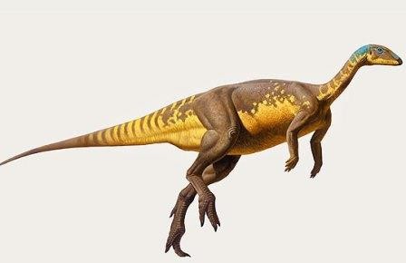 Палеонтолог-любитель обнаружил крошечного динозавра