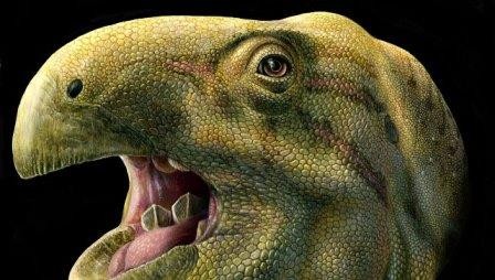 Палеонтологи нашли динозавра с самозатачивающимися зубами