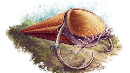 Палеонтологи раскрыли родословную древнего «ктулху»