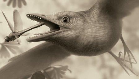 Палеонтологи впервые нашли крылья птиц времен динозавров внутри янтаря