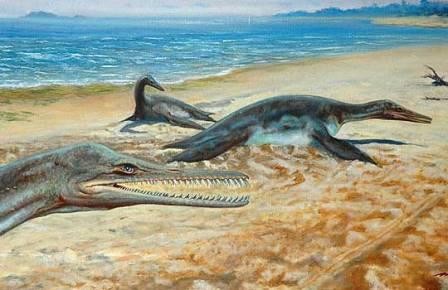 Первого антарктического плезиозавра доставили в чехию