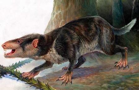 Первые млекопитающие были гурманами
