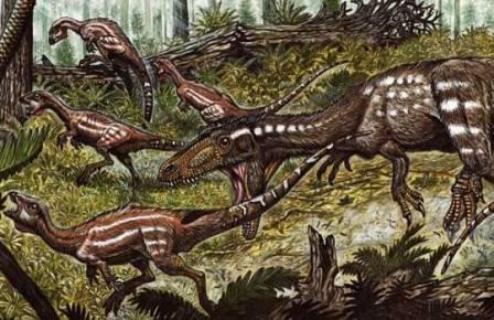 Первые тираннозавры были размером с пуму