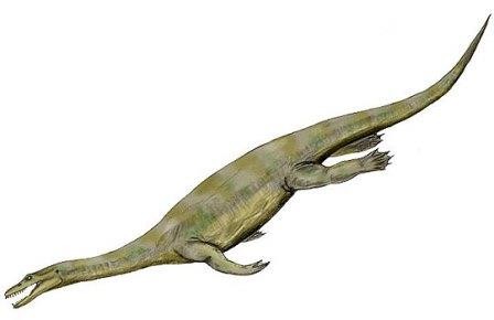 Первым суперхищником палеотетиса был гигантский нотозавр