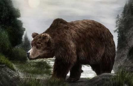 Пещерные медведи вымерли из-за вегетарианской диеты