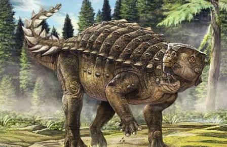 По австралии бродили анкилозавры с большими ушами