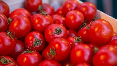 Почему помидоры становятся невкусными в холодильнике