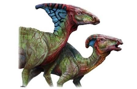 Половой диморфизм динозавров поставили под вопрос