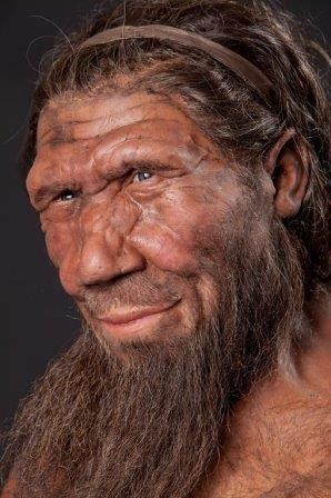 Предки людей и неандертальцев разделились неожиданно рано