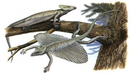 Российские палеонтологи описали предшественника птерозавров