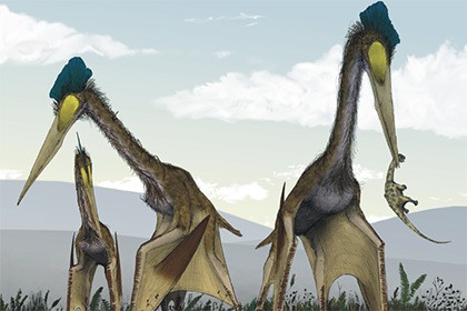 Российский палеонтолог исследовал крупнейших летающих ящеров
