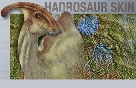 Секрет кожи гадрозавров раскрыт
