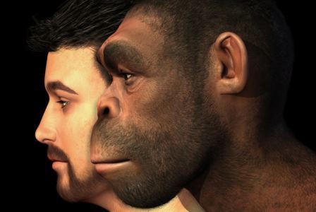 Следы близкого родства с неандертальцами нашли у древнего кроманьонца из европы
