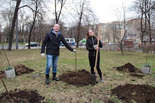 Сотрудники гк «финвал» высадили аллею из деревьев и кустарников на востоке москвы