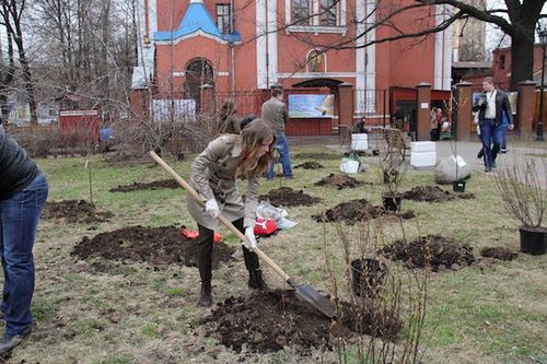 Сотрудники гк «финвал» высадили аллею из деревьев и кустарников на востоке москвы