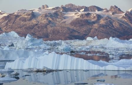 Таяние льда останавливает развитие флоры и фауны в арктике