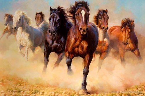Три типа лошадей