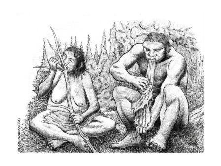 У неандертальцев существовало разделение труда