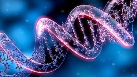 Ученые нашли пример «эгоистичного» поведения генов