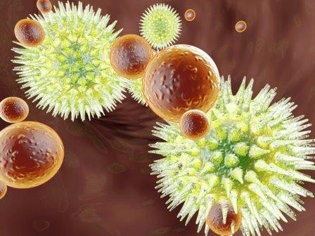 Ученые нашли свидетельства того, что вирусы являются живыми существами