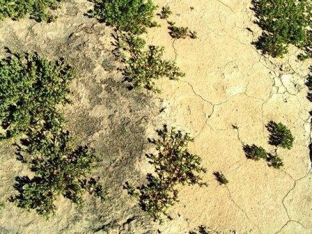 Ученые нашли в пустыне «океаны» микробов, нагревающих пески