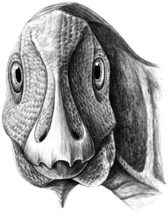 Ученые нашли в румынии динозавра с древнейшей опухолью морды