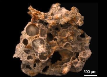 Ученые обнаружили окаменелые пузырьки кислорода древних бактерий