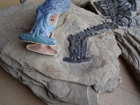 Ученые представили древнюю рептилию с головой-молотом