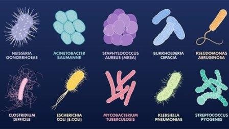 Ученые работают над каталогом абсолютно всех виды микроорганизмов земли