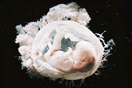 Ученые выяснили соотношение полов от зачатия до рождения