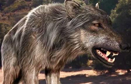 Ужасные волки мельчали в теплом климате