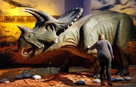 В чили обнаружено крупное захоронение останков динозавров