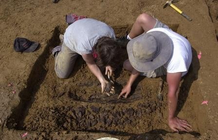 В индии найдены следы динозавра, жившего 150 млн лет назад