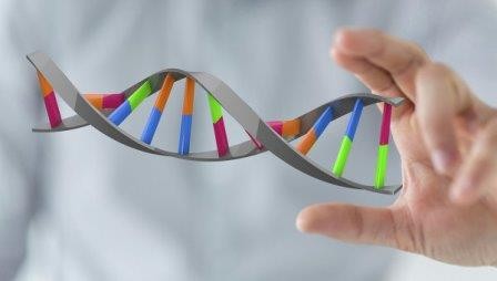 В китае технология редактирования генома будет испытана на людях