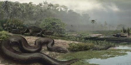 В колумбии обнаружили останки древнего крокодила