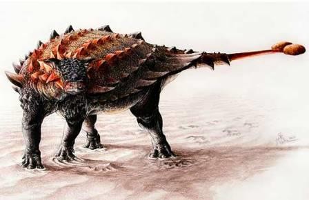 В мексике обнаружили панцирного динозавра