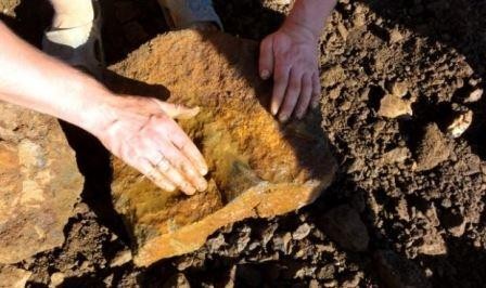 В рязанской области обнаружены останки плиозавра