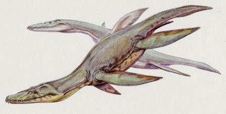 В россии впервые нашли короткомордого плиозавра-симолеста