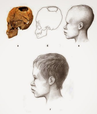 В тюменской области археологи нашли древний череп ребенка со следами хирургической операции