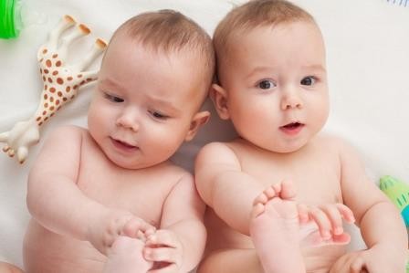 Вероятность рождения близнецов зависит от двух генов