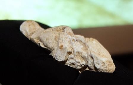 Во франции обнаружили статуэтку женщины, созданную 23 тыс. лет назад