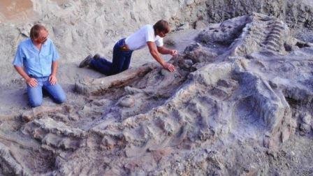 Впервые обнаружены останки динозавра на территории венесуэлы