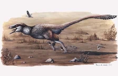 Встречаем нового гигантского хищника: dakotaraptor steini